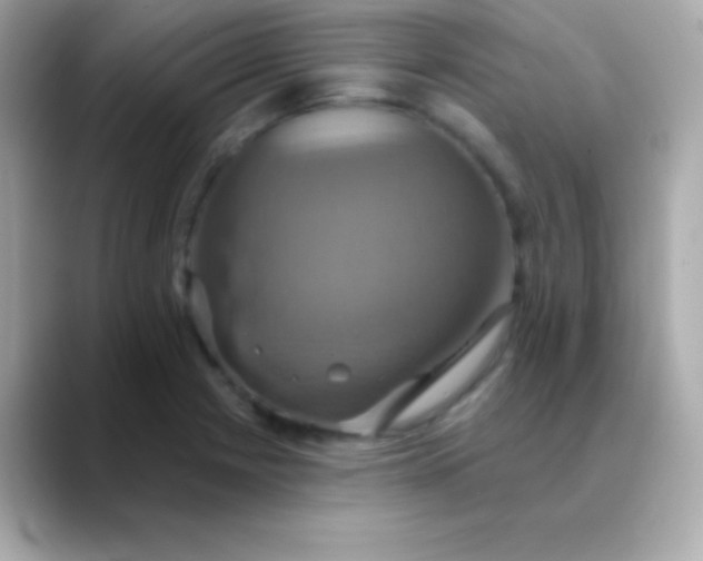 X0000088471225200706051336