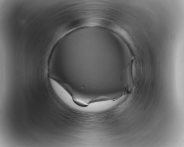 X0000088471226200706051336