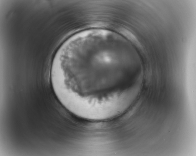 X0000088471228200706051336