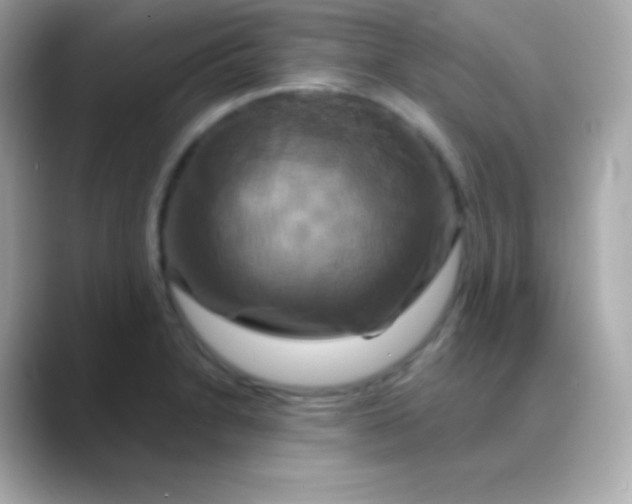 X0000088471230200706051336