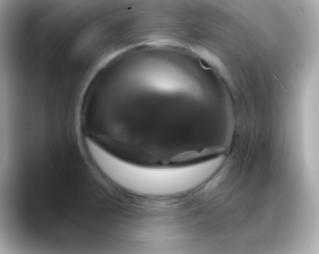 X0000088471231200706051336