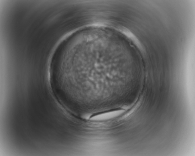 X0000088471232200706051336