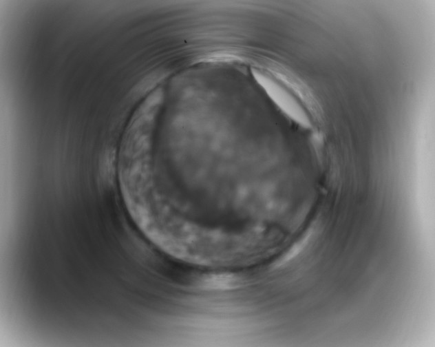 X0000088471233200706051336