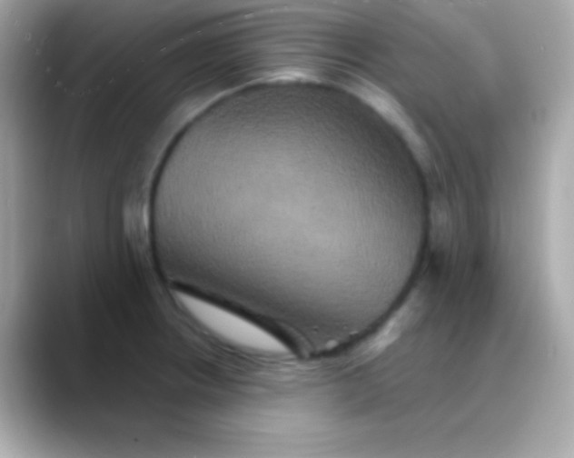 X0000088471234200706051336