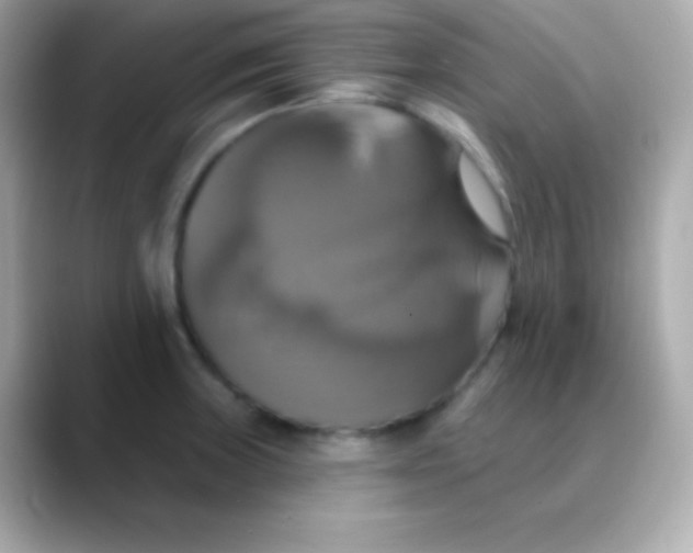 X0000088471235200706051336