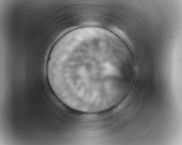 X0000088471236200706051336