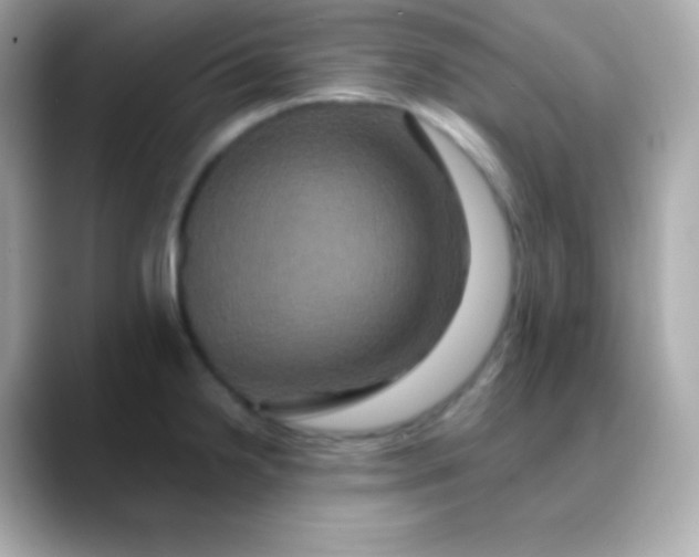 X0000088471238200706051336