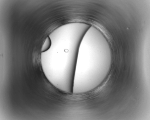 X0000088471241200706051336