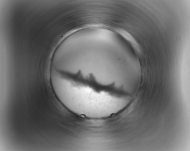 X0000088471244200706051336