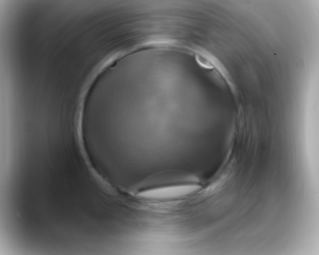 X0000088471245200706051336