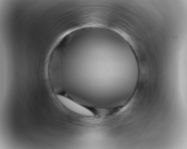 X0000088471246200706051336