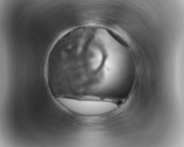 X0000088471247200706051336