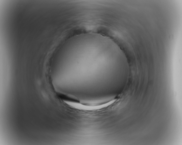 X0000088471249200706051336