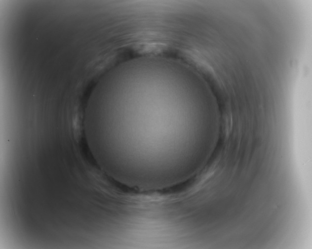 X0000088471250200706051336