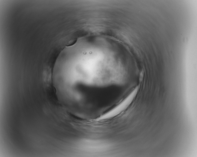 X0000088471251200706051336