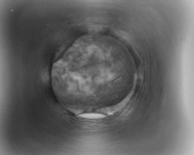 X0000088471252200706051336