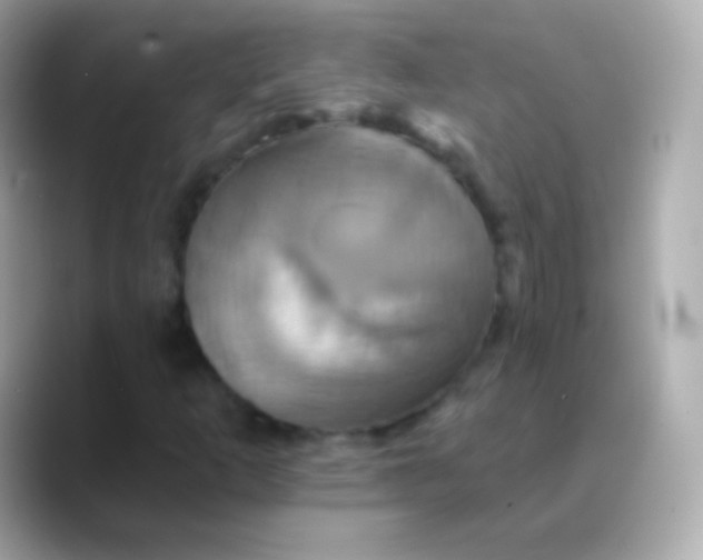 X0000088471253200706051336