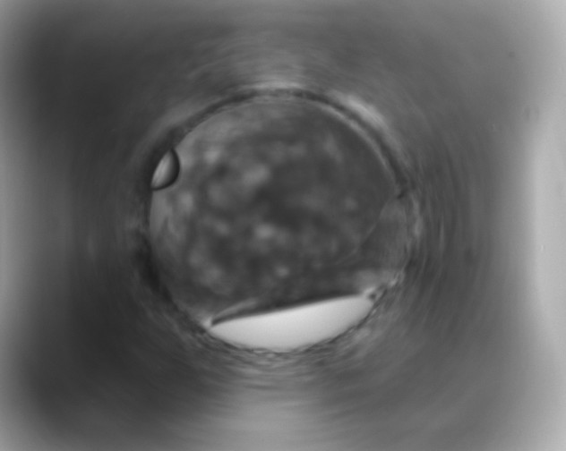 X0000088471255200706051336