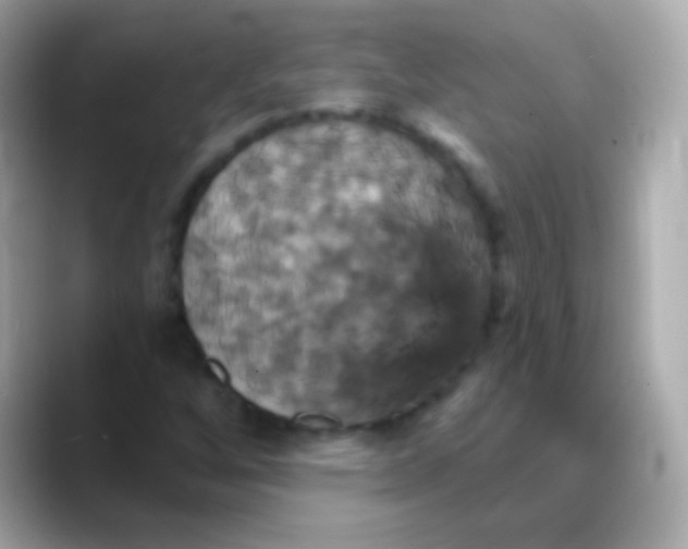 X0000088471256200706051336