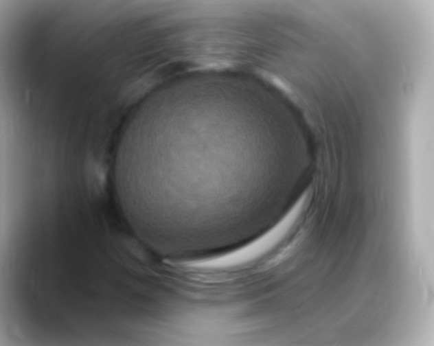 X0000088471257200706051336