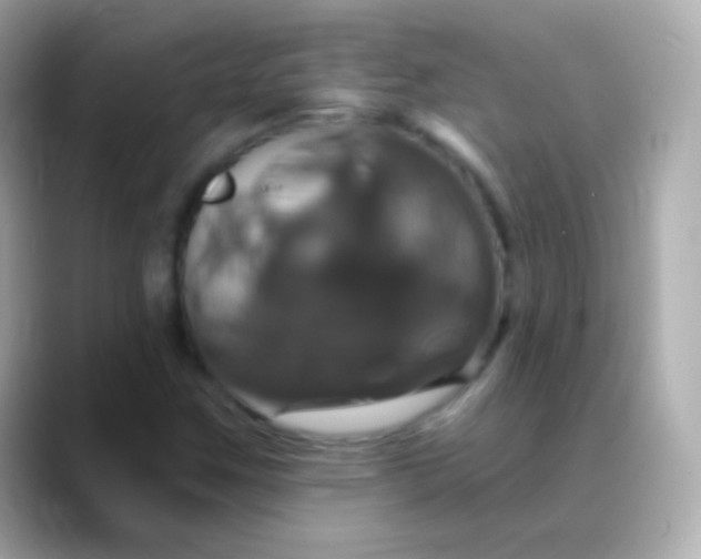 X0000088471259200706051336