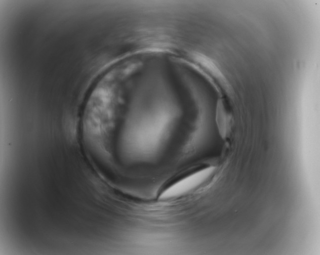 X0000088471260200706051336