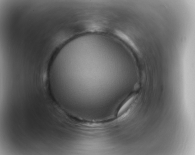 X0000088471261200706051336