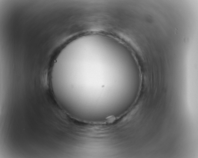 X0000088471262200706051336