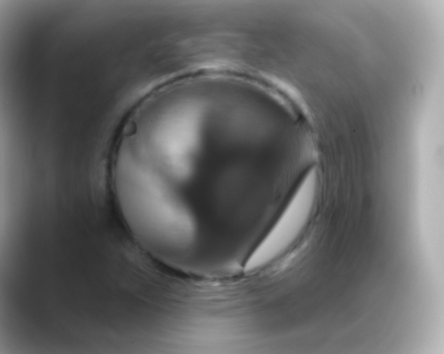 X0000088471263200706051336