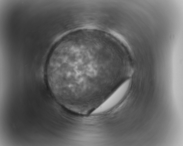 X0000088471264200706051336