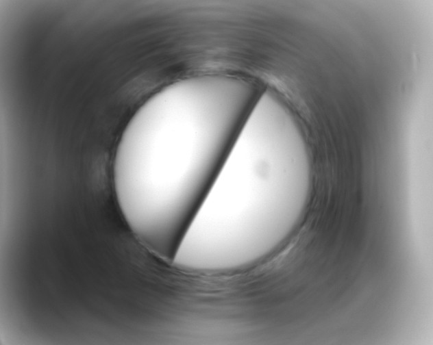 X0000088471265200706051336