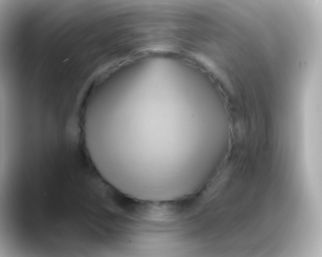 X0000088471266200706051336