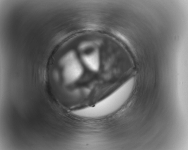 X0000088471267200706051336