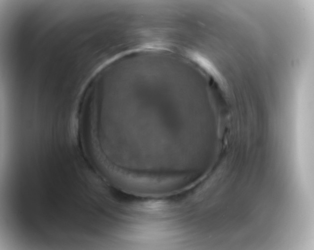 X0000088471268200706051336