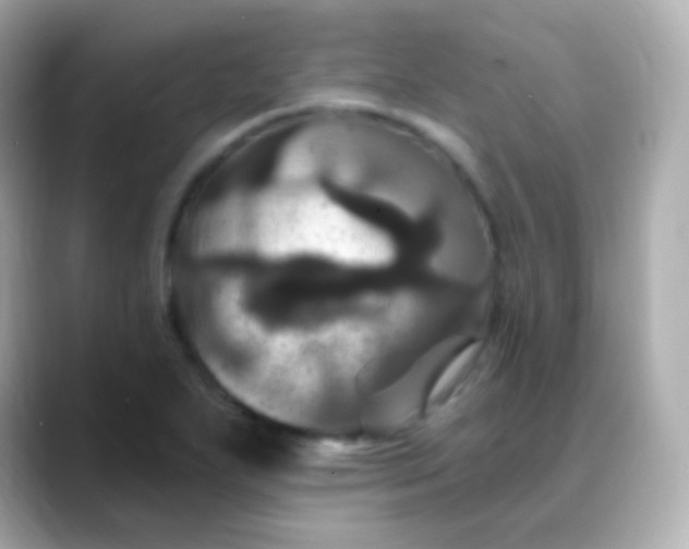 X0000088471271200706051336