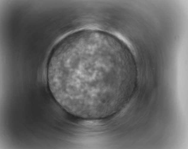 X0000088471272200706051336