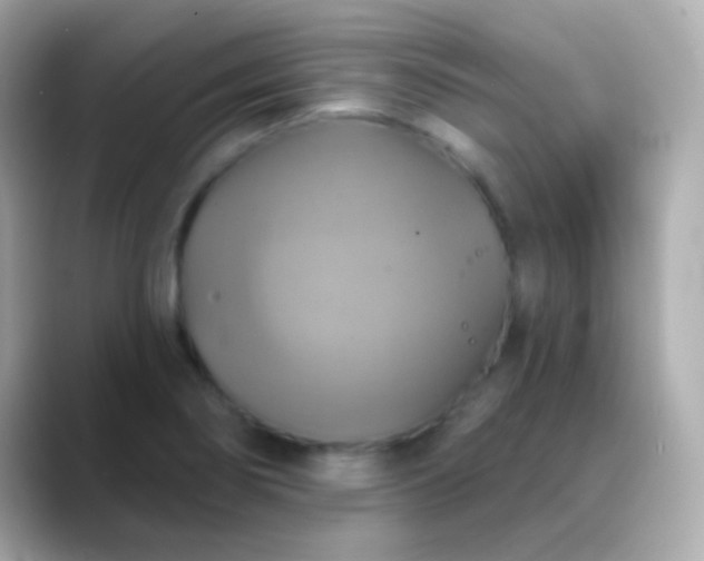 X0000088471274200706051336