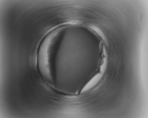 X0000088471276200706051336