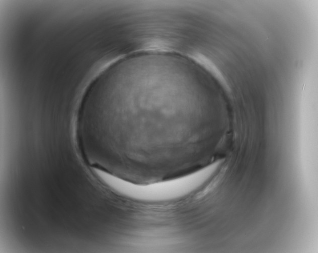 X0000088471277200706051335