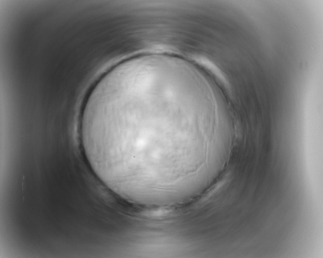 X0000088471278200706051335