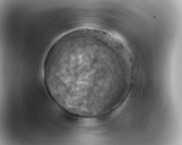 X0000088471280200706051335