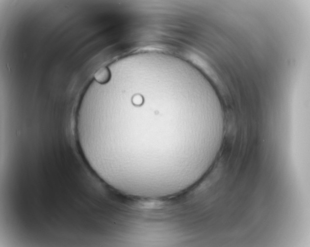 X0000088471282200706051335