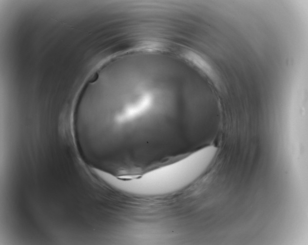 X0000088471283200706051335