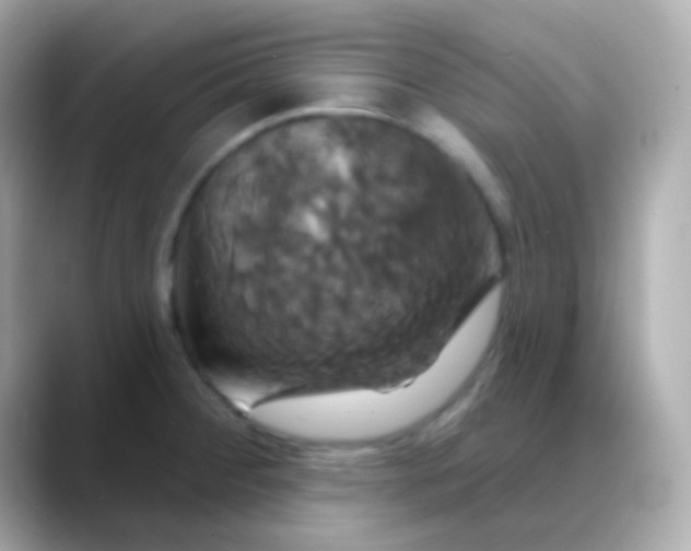 X0000088471284200706051335