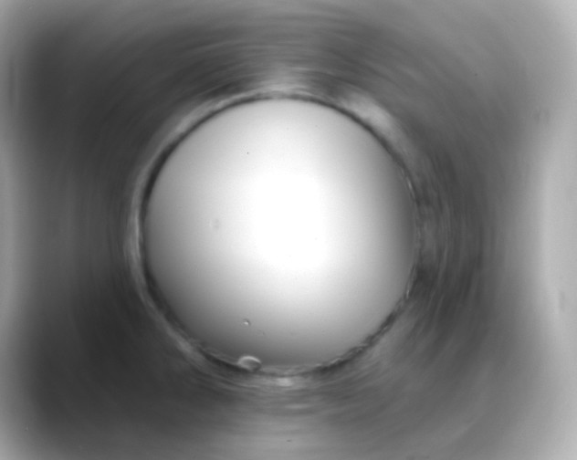 X0000088471286200706051335