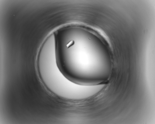 X0000088471287200706051335