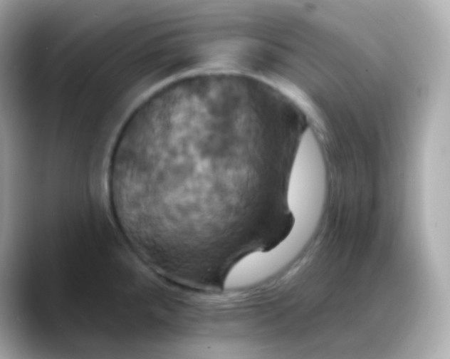 X0000088471288200706051335