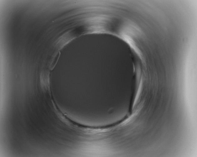 X0000088471289200706051335