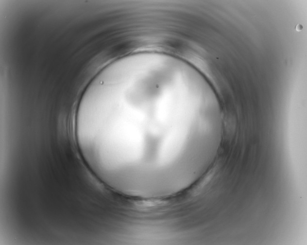 X0000088471290200706051335