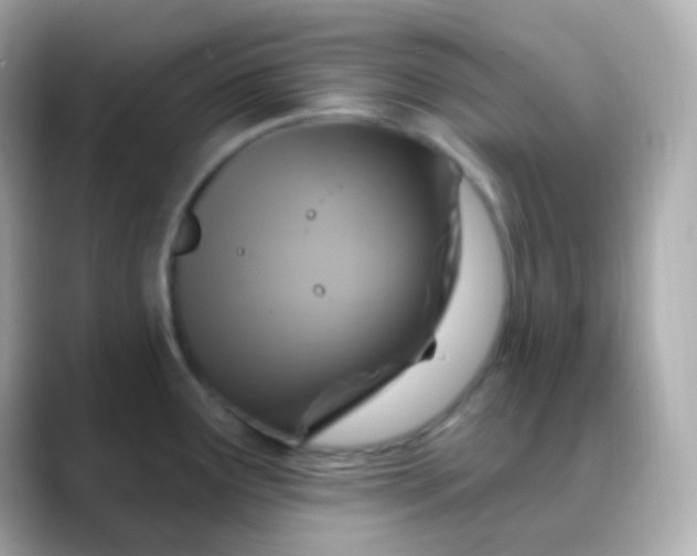 X0000088471291200706051335